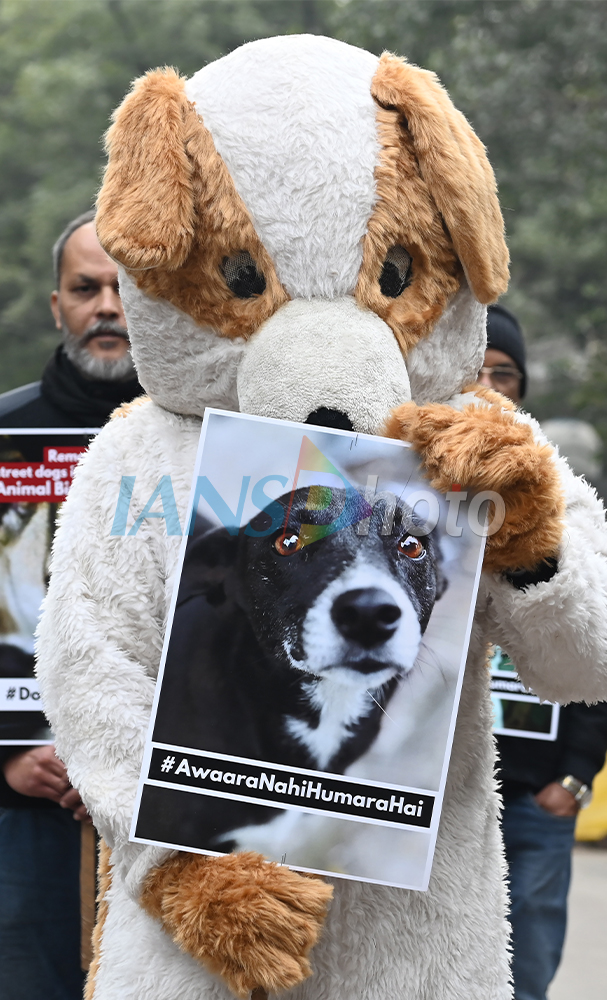 Animal Activists Protest in New Delhi