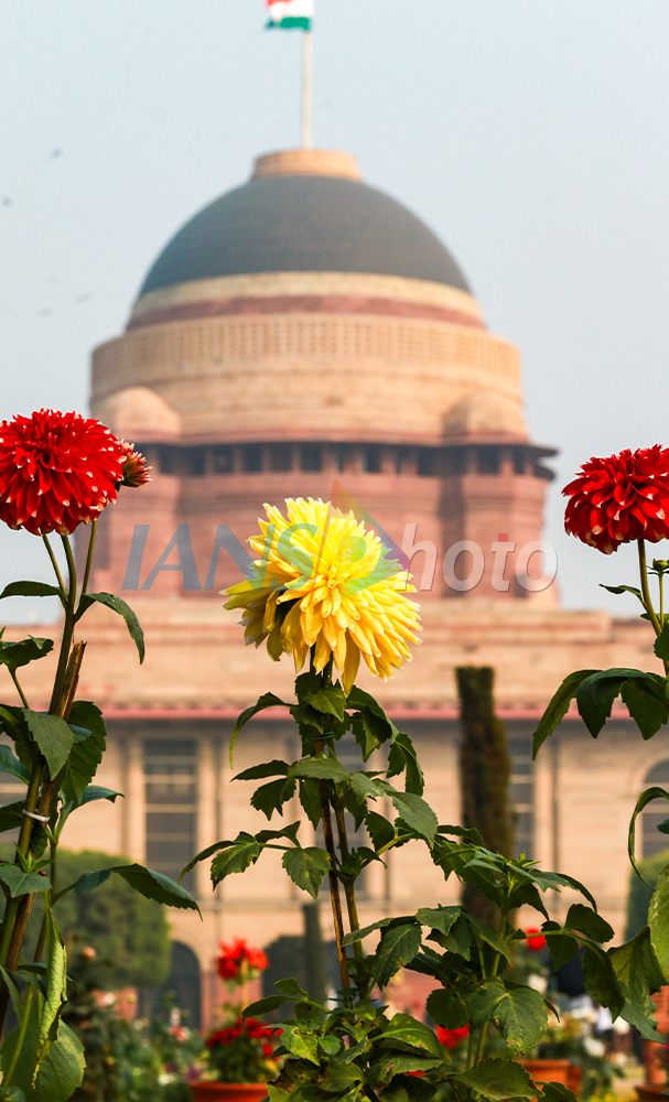 Amrit Udyan at Rashtrapati Bhavan in New Delhi