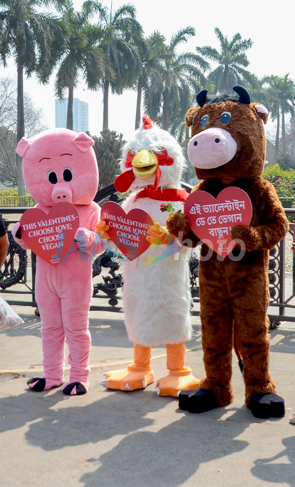 Mercy For Animals Activists Promote 'Choose Love; Choose Vegan' Campaign