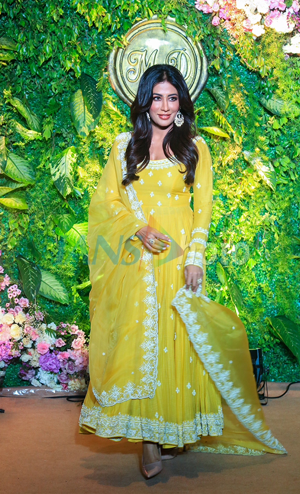 Celebs Attend Mohak Nahta–Dikshita Khullar Pre-Wedding Reception