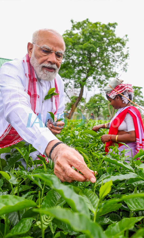 PM Modi Visits Tea Garden in Dibrugarh