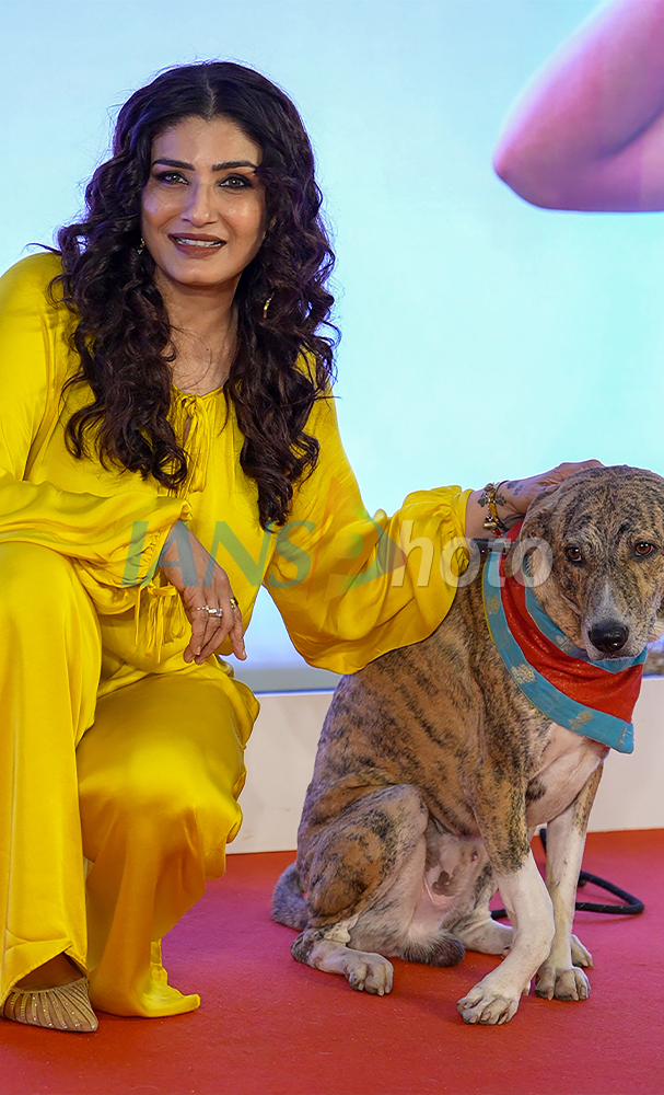 Special screening of 'Ohh My Dog'